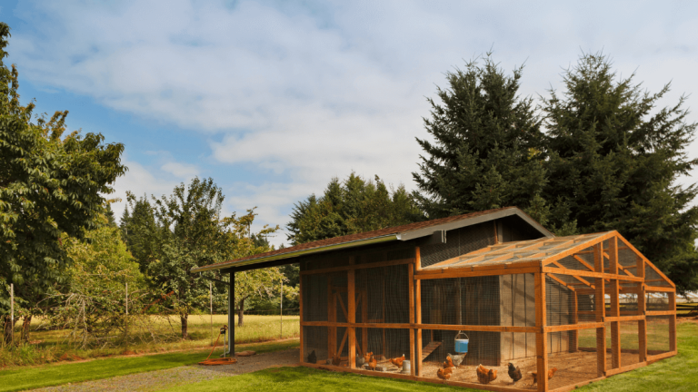 Best Solar Fan For Chicken Coop